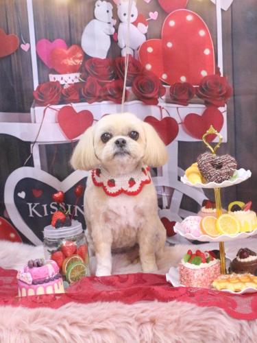 20250225モカちゃん